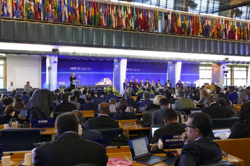Conclusa la 31° Riunione delle Parti del Protocollo di Montreal