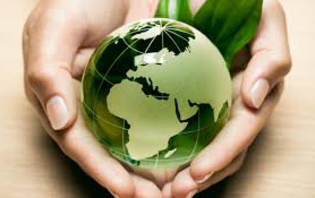 Voglia di ecosostenibilità