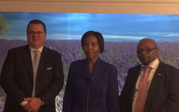 Progetti di energie rinnovabili in Sudafrica