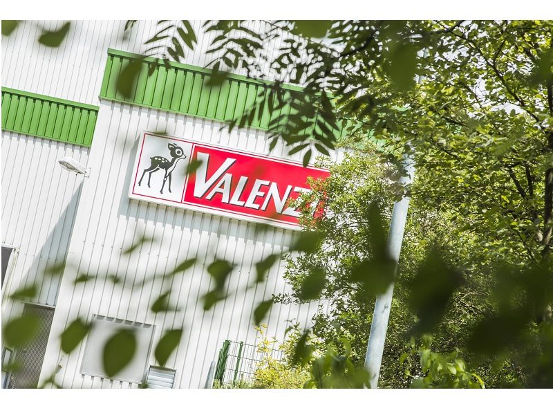 Caldaie. Le caldaie di Bosch scelte da aziende tedesca