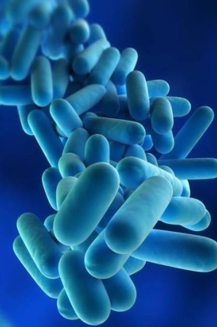 Manutenzione e sanificazione per la sicurezza degli impianti