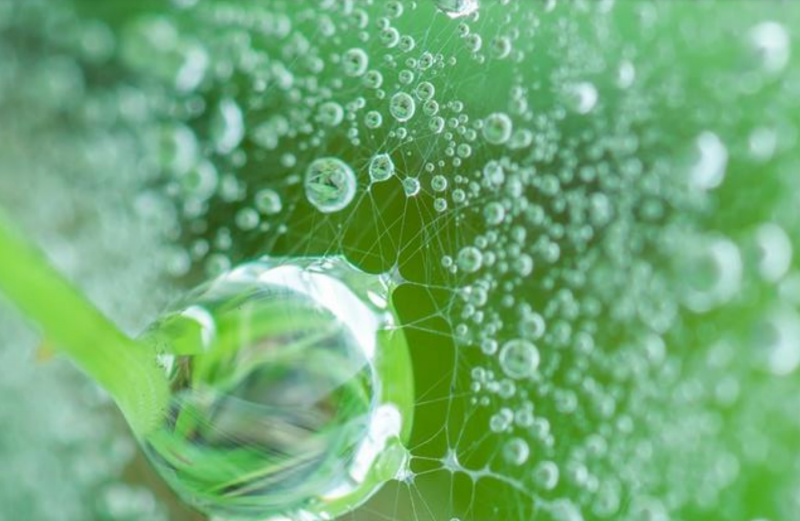 La decarbonizzazione con l’idrogeno verde