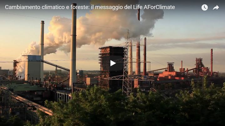 Nuovo video del progetto AForClimate