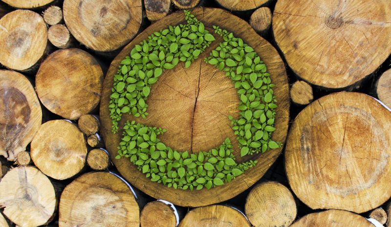 Biomasse legnose, nuova normativa per l’efficienza sostenibile