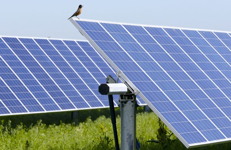 Decreto Energia: agevolazioni per impianti fotovoltaici