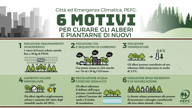 PEFC: 6 motivi per curare gli alberi e piantarne di nuovi