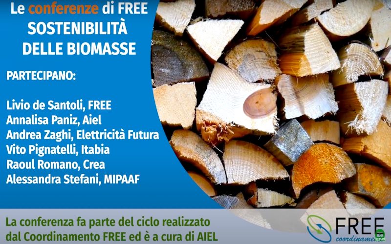 Webinar sulla sostenibilità delle biomasse